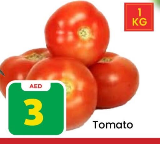 Tomato available at Mark & Save in UAE - Dubai