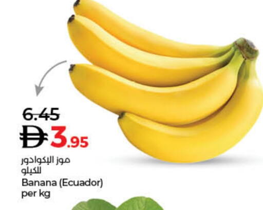 Banana from Ecuador available at Lulu Hypermarket in UAE - Dubai