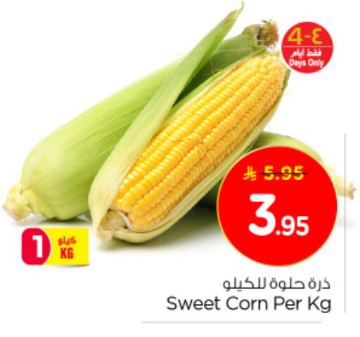 available at نستو in مملكة العربية السعودية, السعودية, سعودية - الجبيل‎