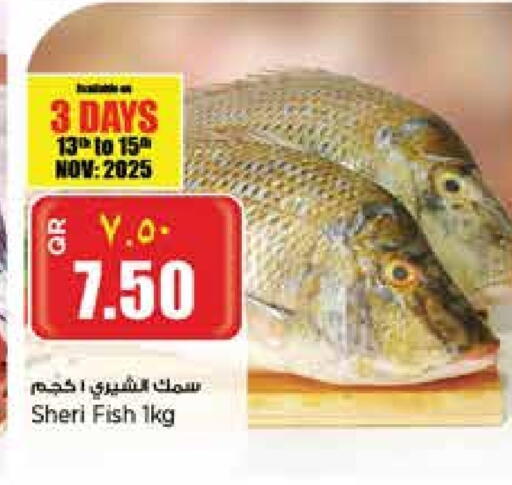 available at ريتيل مارت in قطر - الدوحة