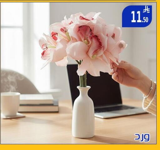 available at Family Corner in KSA, Saudi Arabia, Saudi - Riyadh