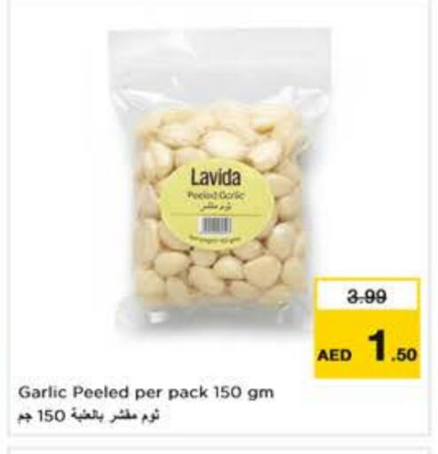 Garlic available at Last Chance  in UAE - Fujairah