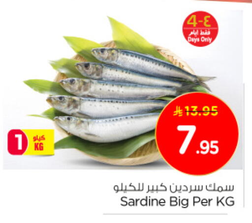 available at نستو in مملكة العربية السعودية, السعودية, سعودية - الجبيل‎