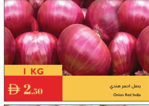 Onion from India available at Istanbul Supermarket in UAE - Dubai