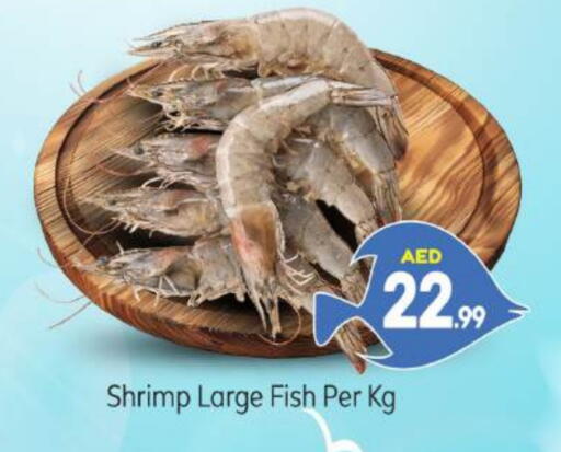 available at بيج مارت in الإمارات العربية المتحدة , الامارات - أبو ظبي