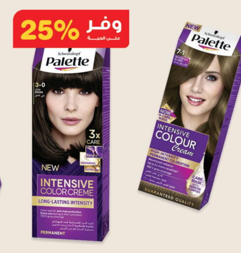 PALETTE Hair Cream available at Innova Health Care in KSA, Saudi Arabia, Saudi - Jeddah