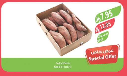 Sweet Potato available at Farm  in KSA, Saudi Arabia, Saudi - Jeddah