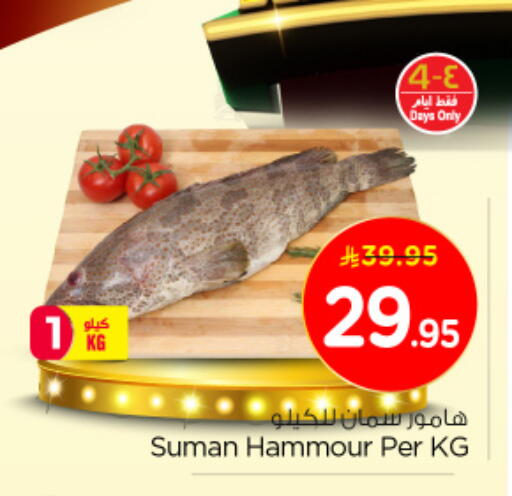 available at نستو in مملكة العربية السعودية, السعودية, سعودية - الجبيل‎