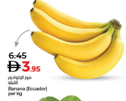 Banana from Ecuador available at Lulu Hypermarket in UAE - Dubai