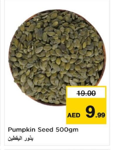 Pumpkin available at نستو هايبرماركت in الإمارات العربية المتحدة , الامارات - دبي