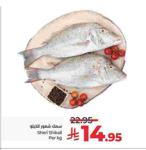 available at لولو هايبرماركت in مملكة العربية السعودية, السعودية, سعودية - تبوك