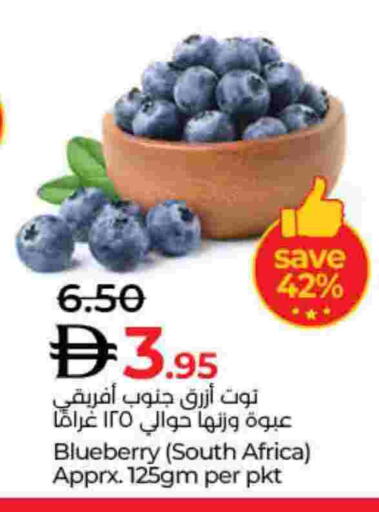 Blueberry BlueBerry from South Africa available at Lulu Hypermarket in UAE - Dubai