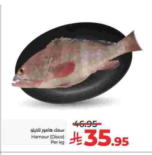 available at LULU Hypermarket in KSA, Saudi Arabia, Saudi - Tabuk