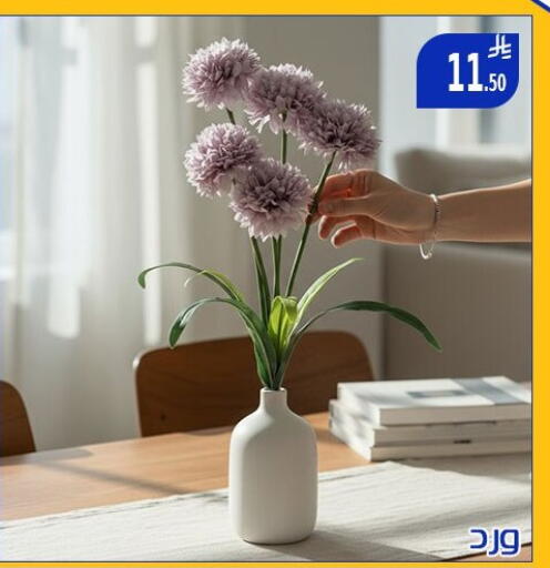 available at ركن العائلة in مملكة العربية السعودية, السعودية, سعودية - الرياض