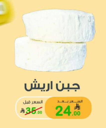 available at أسواق الرشيد in مملكة العربية السعودية, السعودية, سعودية - الرياض