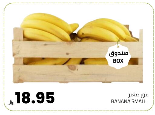 موز available at أسواق أسترا in مملكة العربية السعودية, السعودية, سعودية - تبوك