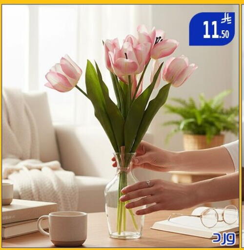 available at ركن العائلة in مملكة العربية السعودية, السعودية, سعودية - الرياض