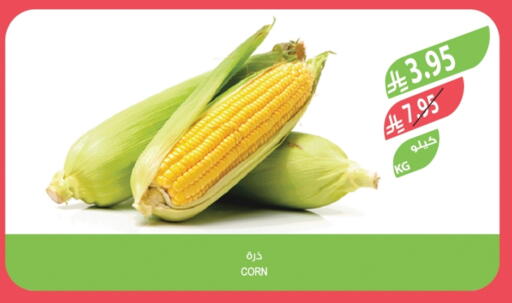 available at المزرعة in مملكة العربية السعودية, السعودية, سعودية - الخبر‎