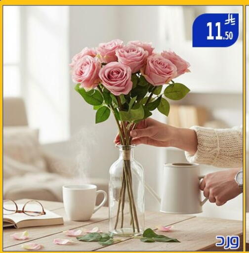 available at Family Corner in KSA, Saudi Arabia, Saudi - Riyadh