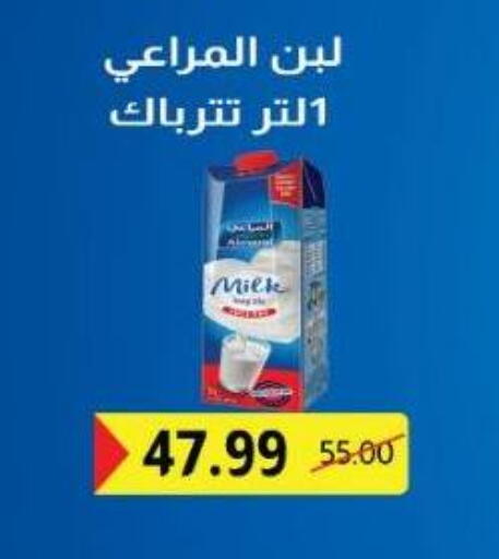 المراعي لبن available at بشاير هايبرماركت in Egypt - القاهرة