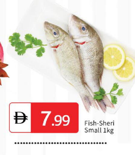 available at سوق طلال in الإمارات العربية المتحدة , الامارات - الشارقة / عجمان