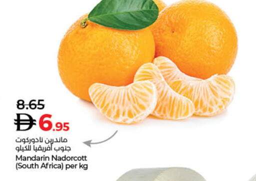 Orange from South Africa available at Lulu Hypermarket in UAE - Dubai