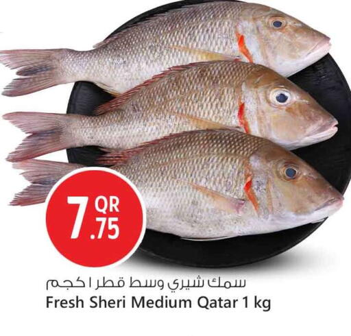 available at Safari Hypermarket in Qatar - Al-Shahaniya