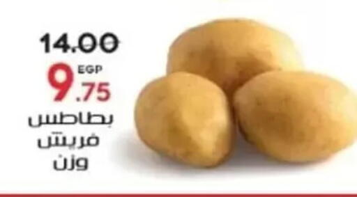 بطاطا available at جلهوم ماركت in Egypt - القاهرة