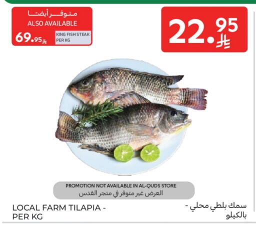 King Fish available at Carrefour in KSA, Saudi Arabia, Saudi - Sakaka
