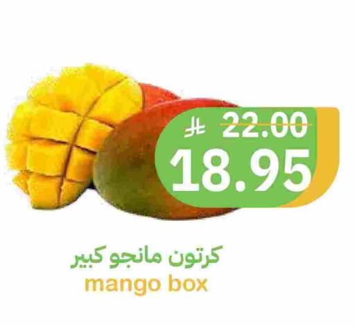 Mango available at Qateba Markets in KSA, Saudi Arabia, Saudi - Buraidah