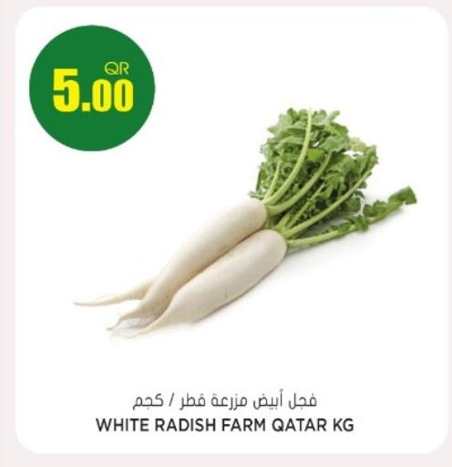 Radish from Qatar available at جراند هايبرماركت in قطر - الريان