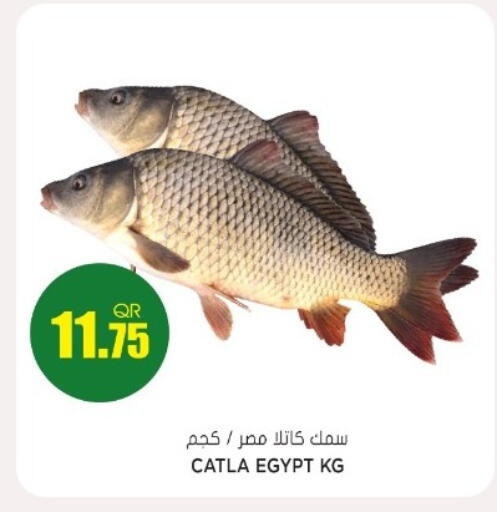 available at جراند هايبرماركت in قطر - أم صلال
