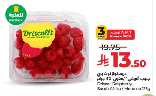 توت from South Africa Morocco available at لولو هايبرماركت in مملكة العربية السعودية, السعودية, سعودية - خميس مشيط