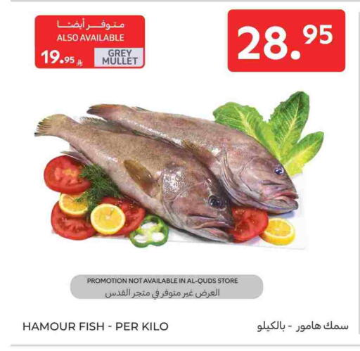 available at Carrefour in KSA, Saudi Arabia, Saudi - Jeddah