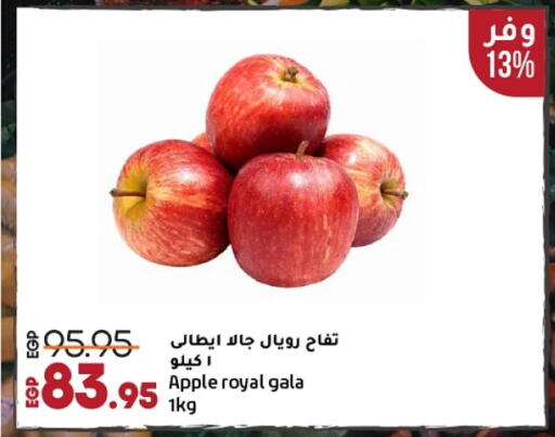 Apples available at Lulu Hypermarket  in Egypt - Cairo