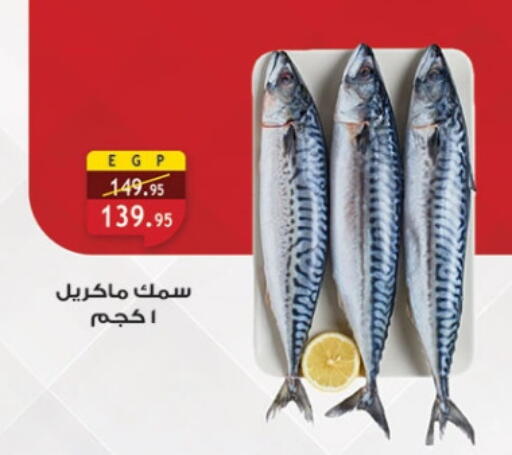 available at الرايه  ماركت in Egypt - القاهرة