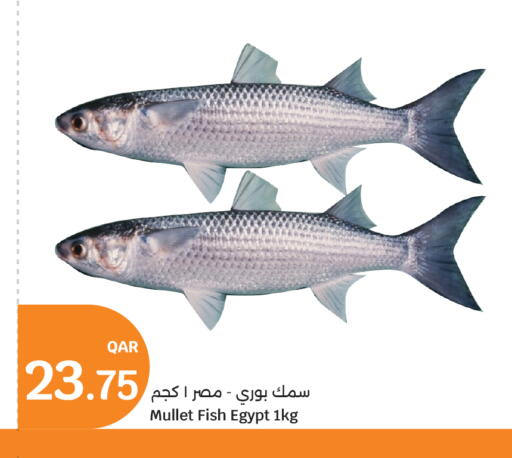 available at City Hypermarket in Qatar - Doha