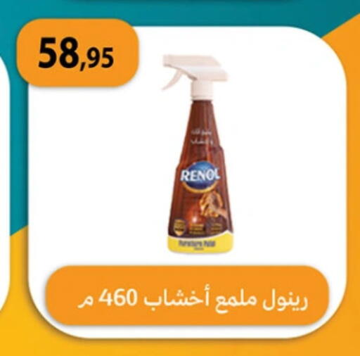 منظف عام available at الرايه  ماركت in Egypt - القاهرة