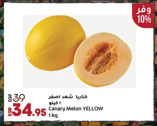 Melon available at لولو هايبرماركت in Egypt - القاهرة