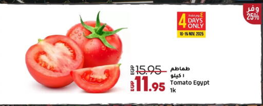 طماطم from Egypt available at لولو هايبرماركت in Egypt - القاهرة