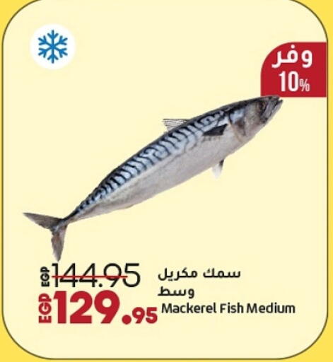 available at لولو هايبرماركت in Egypt - القاهرة