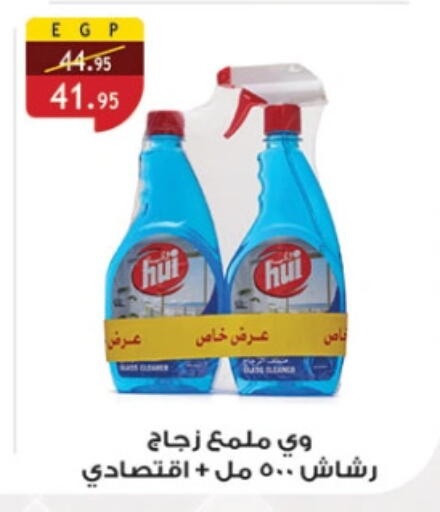 منظف الزجاج available at الرايه  ماركت in Egypt - القاهرة