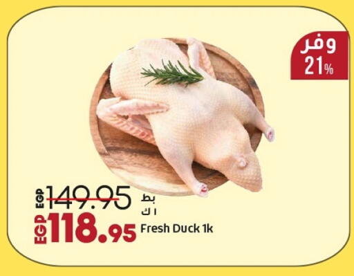 available at لولو هايبرماركت in Egypt - القاهرة