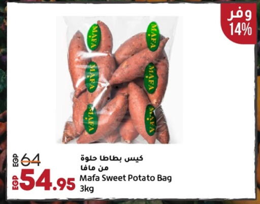 بطاطا حلوة available at لولو هايبرماركت in Egypt - القاهرة