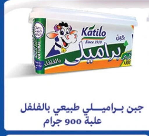 كتيلو جبنة كريمية available at الرايه  ماركت in Egypt - القاهرة