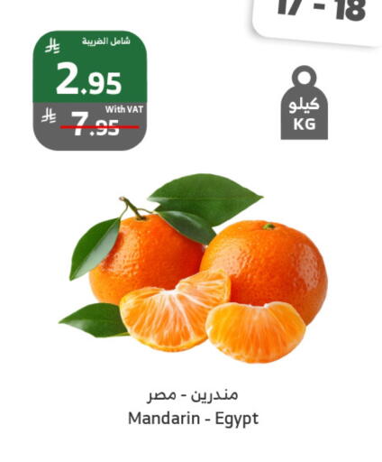 برتقال from Egypt available at الراية in مملكة العربية السعودية, السعودية, سعودية - خميس مشيط