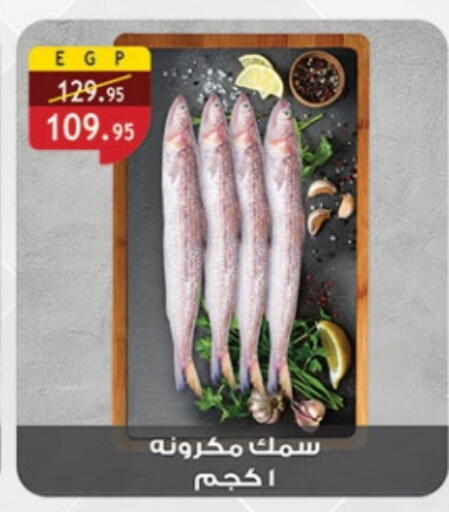 available at الرايه  ماركت in Egypt - القاهرة