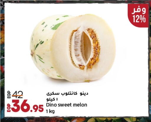 شمام available at لولو هايبرماركت in Egypt - القاهرة