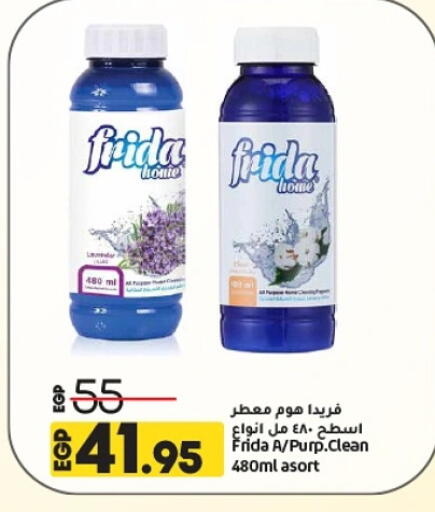 منظف عام available at لولو هايبرماركت in Egypt - القاهرة