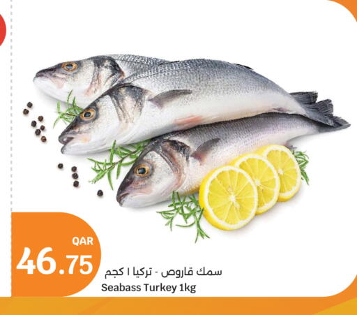 available at City Hypermarket in Qatar - Doha